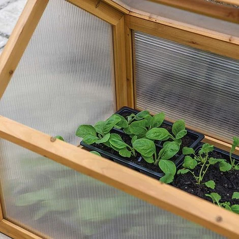 Garden Grow Wooden Cold Frame - Image 3