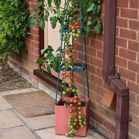 Garden Grow Self Watering 4 Tier Tomato Tower - Image 2
