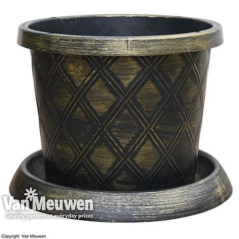 Patio Pot Black And Gold - Image 2