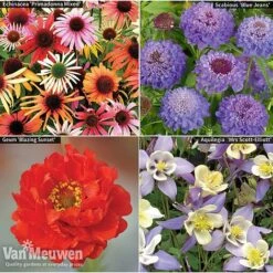 Garden Ready Perennial Collection