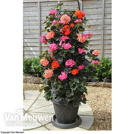 Tower Potâ„¢ Black & Gold - Image 5