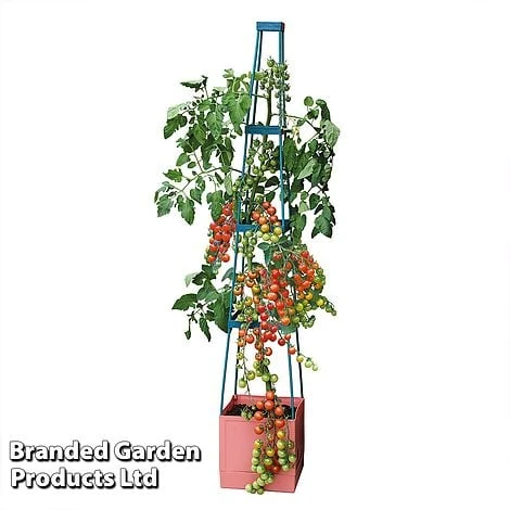Garden Grow Self Watering 4 Tier Tomato Tower - Image 4